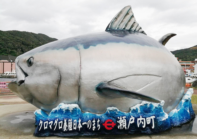 奄美群島 見学航路日記