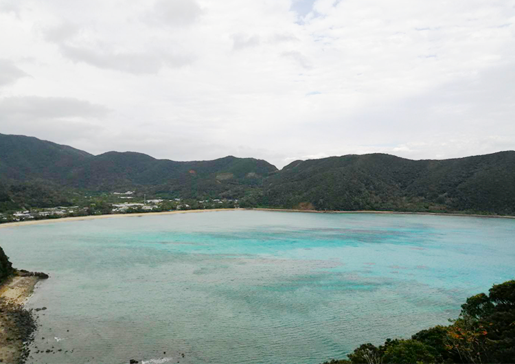 奄美群島 見学航路日記