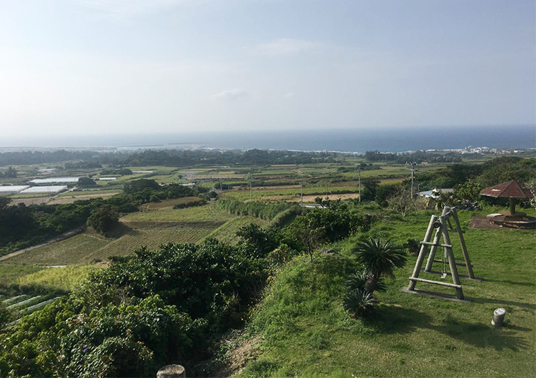 喜界島 応援ナースとして半年過ごしてみて…(富山県出身 看護師9年目)