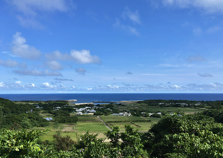 喜界島で離島医療を体験して(岡山県出身 看護師8年目)