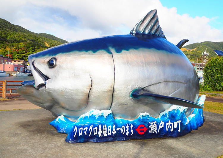 瀬戸内徳洲会病院 看護師 短期 離島