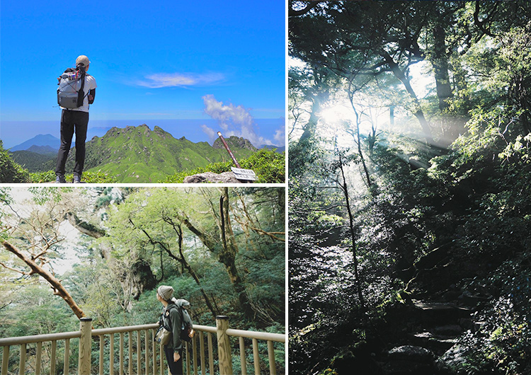 会 屋久島 病院 洲 徳