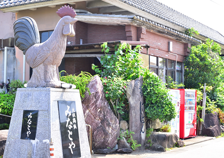 奄美大島 病院 離島 看護師