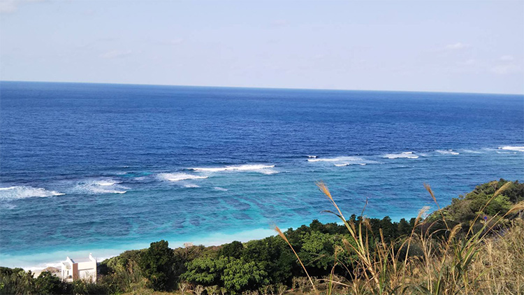 奄美大島で働いて、次は喜界島へ(大阪府出身 看護師15年目 )