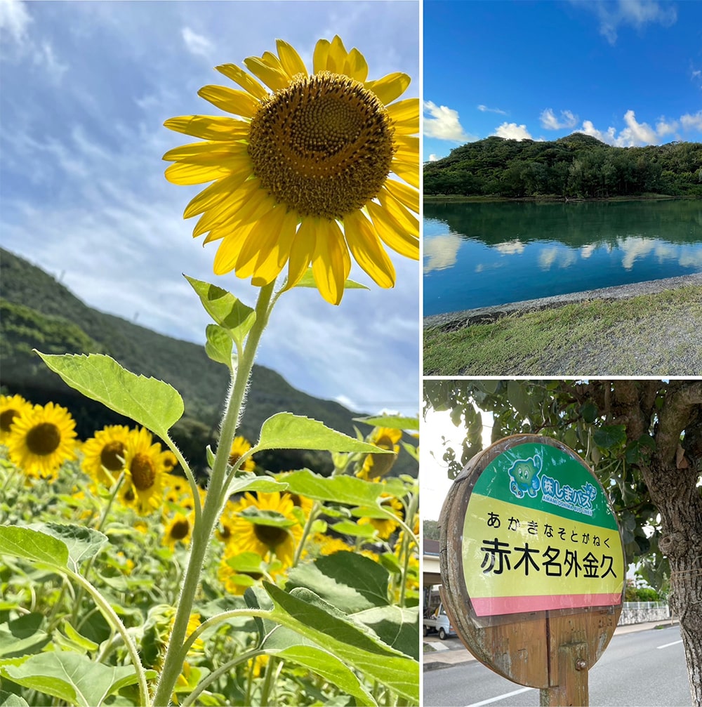 お手本にしたい心の在り方(看護師10年目 北海道出身)